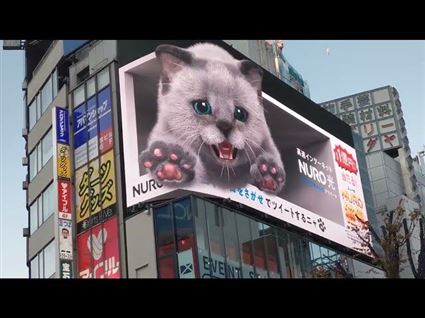Video quảng cáo màn hình LED 3D ngoài trời TVC Billboard Nhật Bản clip sản phẩm thức ăn mèo Lenovo